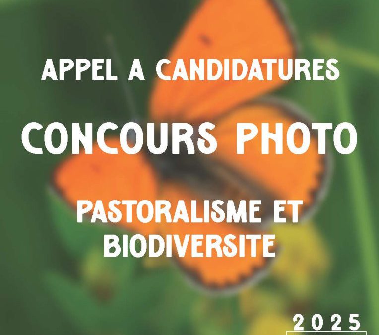 KLISKA Concours photo